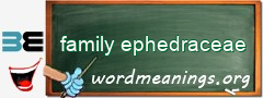 WordMeaning blackboard for family ephedraceae